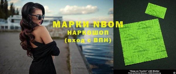 индика Михайловка