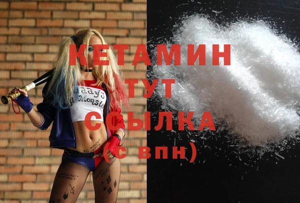индика Михайловка
