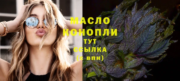 сатива Бердск