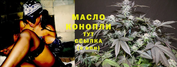 индика Михайловка