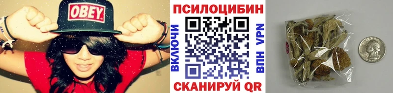 Псилоцибиновые грибы ЛСД  где купить наркоту  нарко площадка клад  Большой Камень 