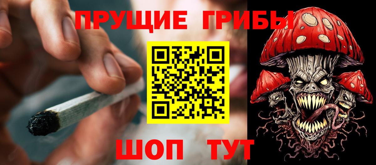 Большой Камень  Псилоцибиновые грибы мицелий  Вход с VPN 