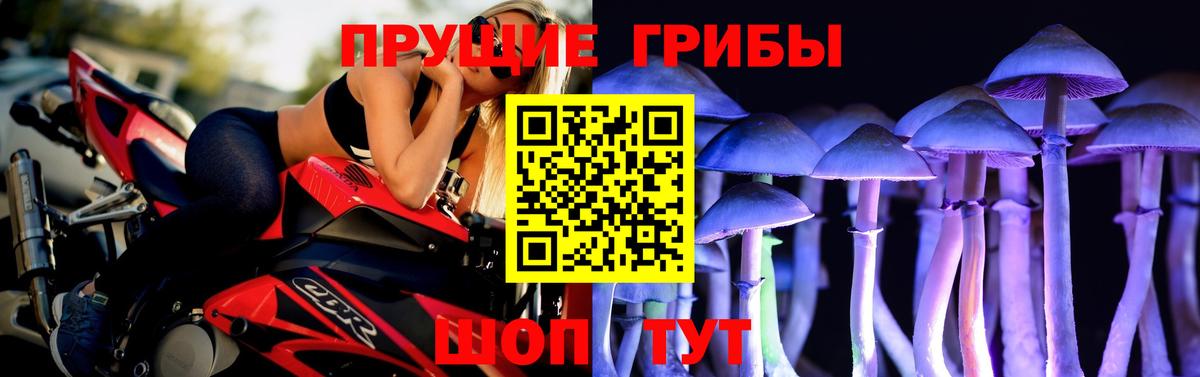 Галлюциногенные грибы мицелий Большой Камень