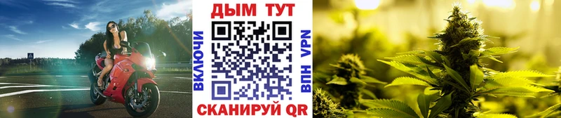 Бошки марихуана SATIVA & INDICA ОМГ ОМГ зеркало Большой Камень
